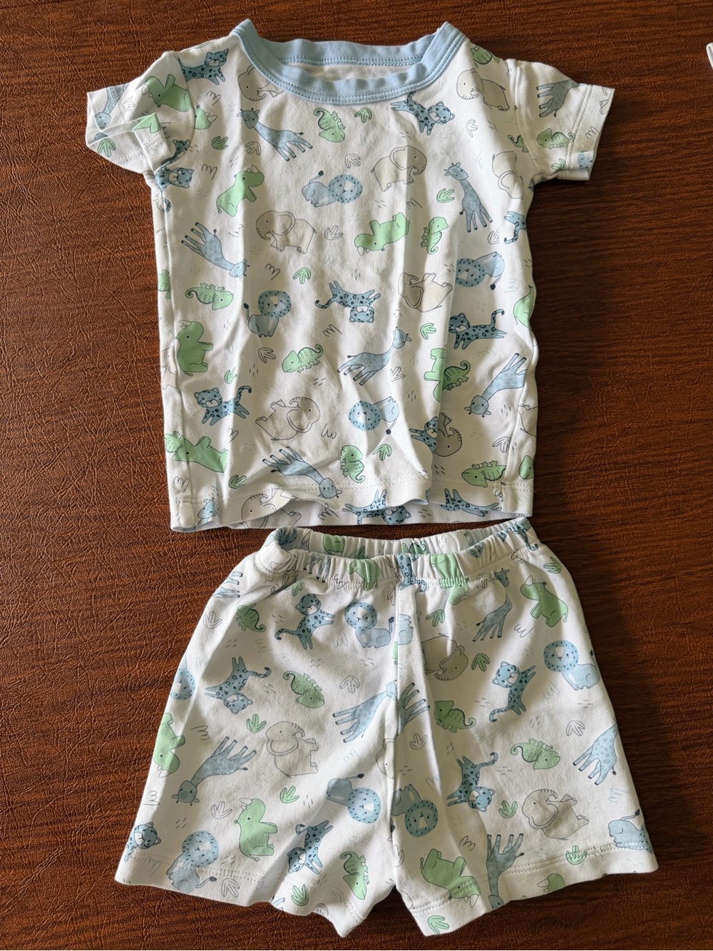 Kids Two-Piece Animal Print Pajama Set in Green & Blue